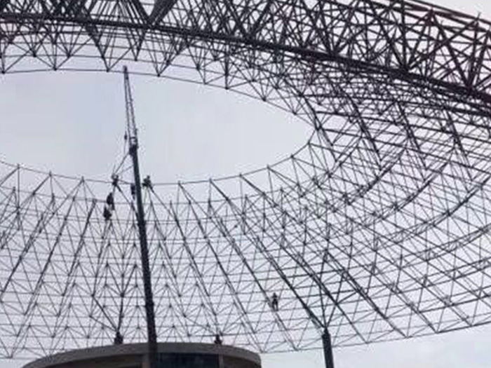 林芝篮球馆球形网架厂家价格